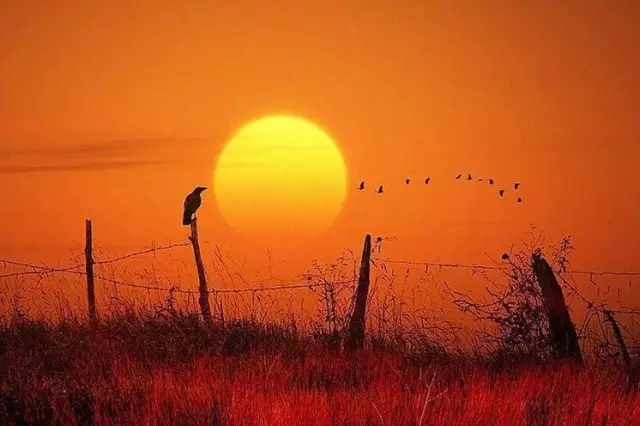 中庭人的一天！