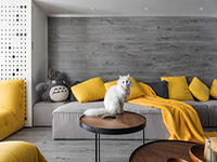 純干貨！家里有寵物的十個(gè)裝飾小建議